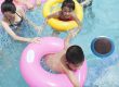 solar pool ionizer how it works